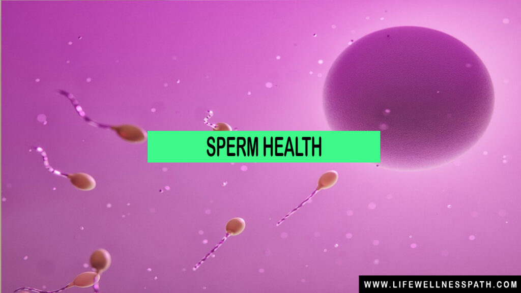 sperm health