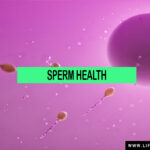 sperm health